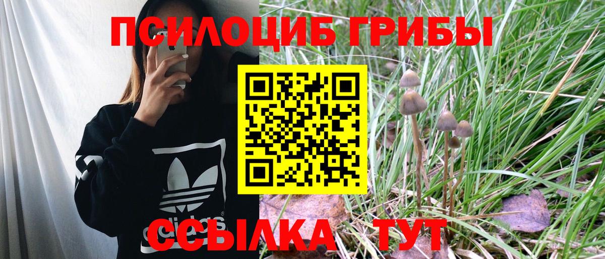 Псилоцибиновые грибы Magic Shrooms Нижнеудинск
