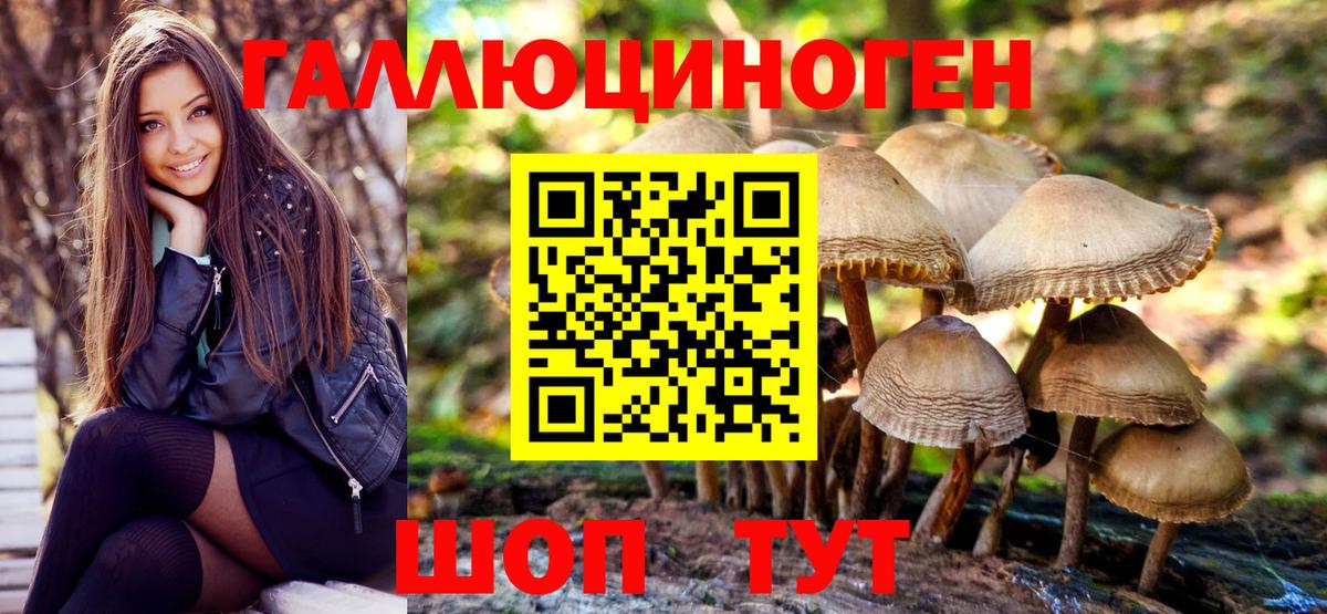 Псилоцибиновые грибы GOLDEN TEACHER  Вход с VPN  Нижнеудинск  Псилоцибиновые грибы прущие грибы 